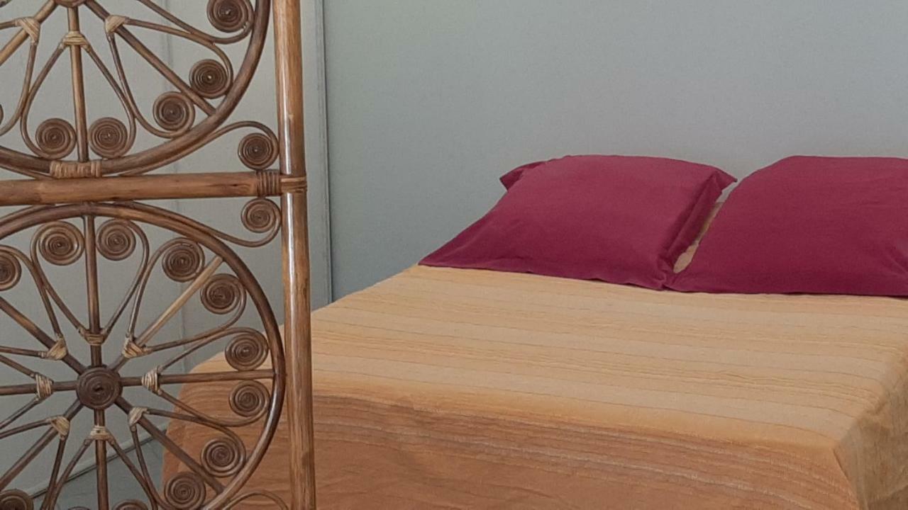 Grand Studio-Loft-Grand Parking-Climatise-Proche Centre Ajaccio  Eksteriør billede